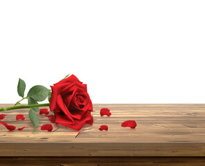 Red roses and rose petals on Wooden table top. transparent background