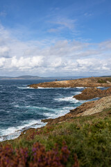 Sunlit Serenity: A Coastal Oasis