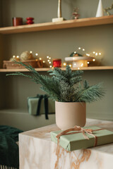 Evergreen branches in vase, wrapped gift box on table, festive Christmas ornaments on a bookshelf...