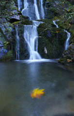 Fototapeta na wymiar Agireta waterfall, Autumn in the Agireta waterfall between Zestoa and Deba.