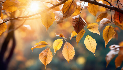 Autumn colorful bright leaves with beautiful backlight. Autumn colorful background, fall backdrop, Generative AI