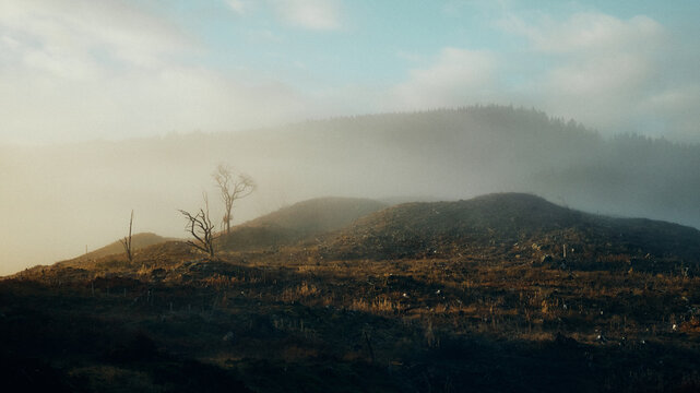 misty morning in the forest and mountains