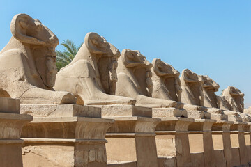 Karnak memorial complex. Avenue of sphinxes with rams' heads. The ruins of the giant ancient temple...