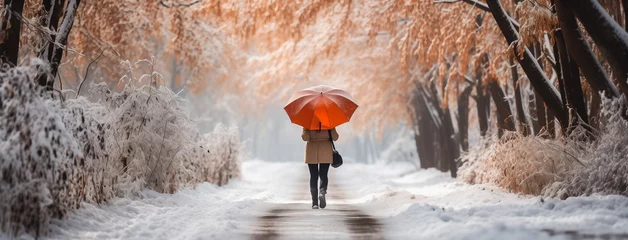 Fotobehang Person walking on cold day in winter through a road with umbrella and surrounded by white snow            © Sudarshana