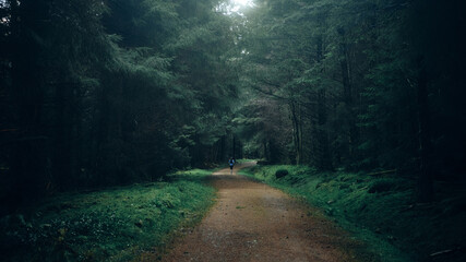 woman running in the forest