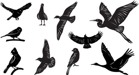 silhouette set of birds on white background vector