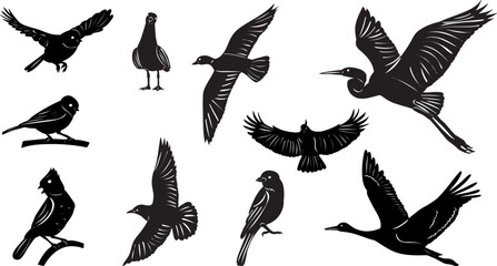 Obraz premium silhouette set of birds on white background vector