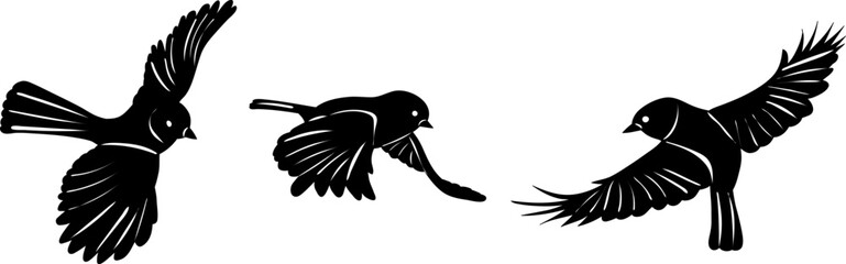 silhouette of a tit flying on a white background vector