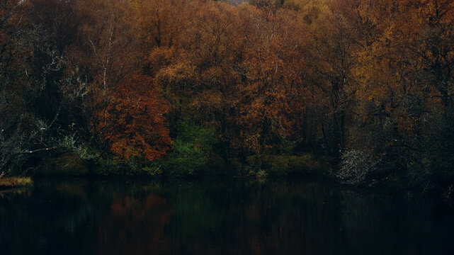 lake in autumn