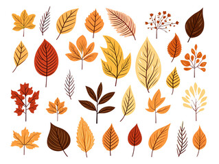Collection set of hand-drawn leaves isolated on transparent or white background, png