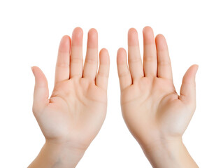 Open hands isolated on transparent or white background, png