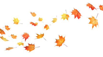 Leaves fluttering in the wind isolated on transparent or white background, png