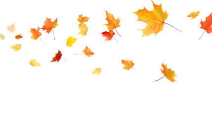 Leaves fluttering in the wind isolated on transparent or white background, png