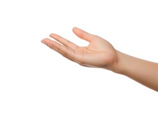 Extended hand isolated on transparent or white background, png