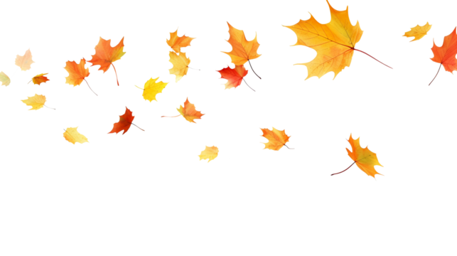 Leaves fluttering in the wind isolated on transparent or white background, png