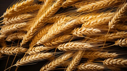 A background of wheat grains