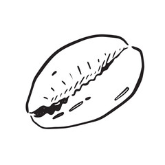 A line drawn illustration of a cowry shell. Black and white hand drawn sketch with subtle shading.