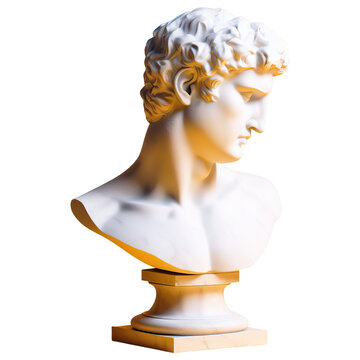 Est&aacute;tua