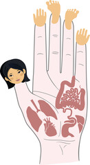 Human anatomy. Vector illustration of human hand and internal organs. Sujok therapy and acupuncture - 680979930