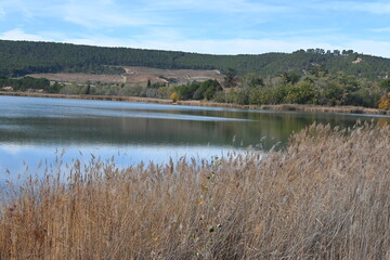 Embalse del parque de la Grajera, Logroño