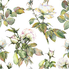 Seamless pattern with white vintage rose flowers. Watercolor repeating print on white background. - 680983702