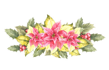 Watercolor painted composition of pink yellow poinsettia, holly leaves, berries Illustration Christmas and New Year plant symbol for your card, winter holiday celebrate decor Isolated white background