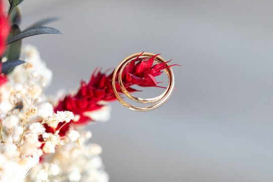 anillos, anillas, anillo, alianzas, doble, par, dos, amor, pareja, macro, zoom, rojo, flor