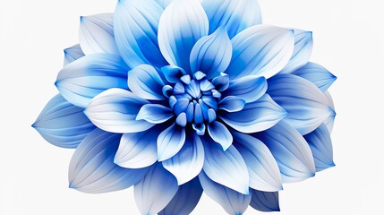 Bright blue flower art isolated on white background. watercolor illustration. Watercolor painting of a beautiful colorful dahlia flower.
