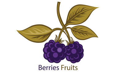 Cute vector sticker fruit blueberry icon, 
