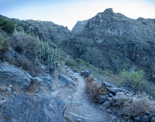Barranco del inferno, cactuses and foot path in Inferno canyon, Tenerife