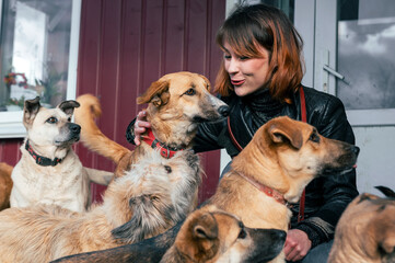Dog at the shelter. Animal shelter volunteer takes care of dogs. Volunteer taking care of dog in...