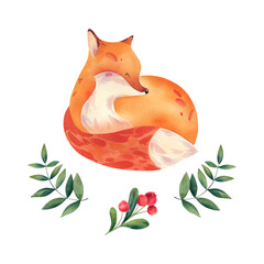 A fox in a lying position. Watercolor illustration. Forest animals for children. Hand-painted.