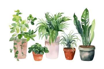 Watercolor flowerpot collection. Home plants vector illustration.