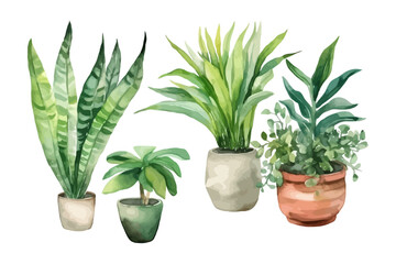 Watercolor flowerpot collection. Home plants vector illustration.