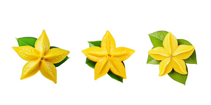 top view Starfruit isolated on white background