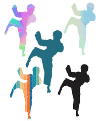 Various Karate Martial Art Silhouettes