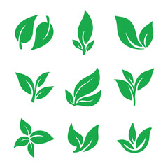 Green leaf icon set vector