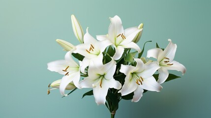 A top-down view of a bouquet of white lilies set against a mint-green backdrop, capturing the...