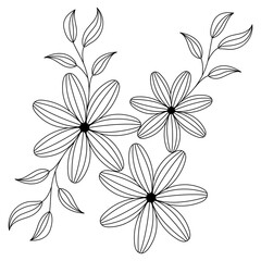 Hand Drawn Line Floral