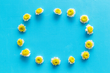 Floral pattern with white and yellow chamomile flowers, top view