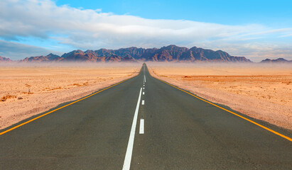 National Park with empty asphalt road - Namib desert , Namibia