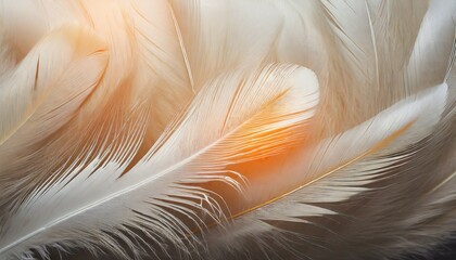 beautiful white feather pattern texture background with orange light - obrazy, fototapety, plakaty
