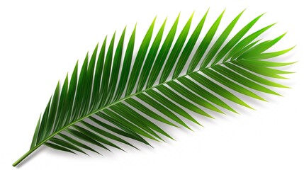 green leaves of trees and plants. Elements for eco and bio background