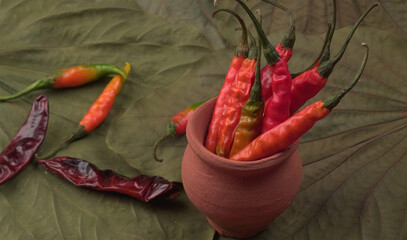 Fresh long Indian green and red chillies on beautiful background. Organic Indian spices for hot and...
