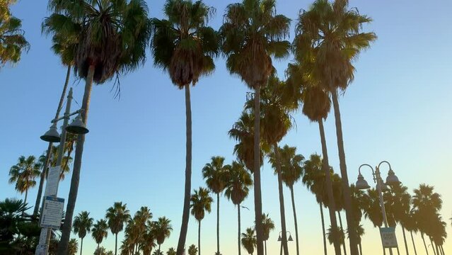 Venice Beach Oceanfront Walk in California - travel photography