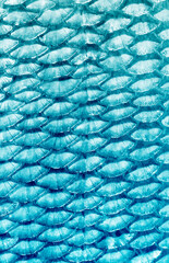 fishscale abstract background © mycteria
