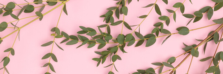 Banner with eucalyptus branches scattered on a pink background.