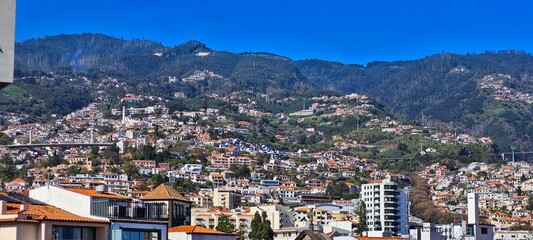 view of the city of kotor country
