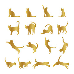 golden set of cats