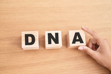 Woman hand holding cubes with dna word on the table